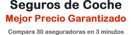Seguros de Coche - Mejor Precio Garantizado